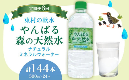 定期便6回 東村の軟水【やんばる 森の天然水】　500ml×24本
