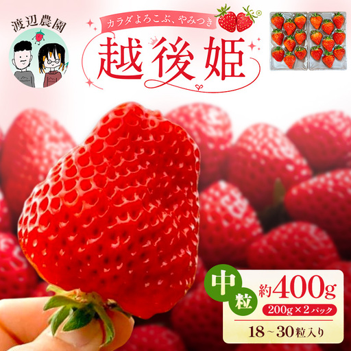 [先行予約]渡辺農園 越後姫 いちご 200g×2パック 中粒 いちご