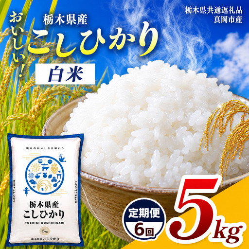 [定期便6回]令和8年度 新米 栃木県産コシヒカリ 5kg | 栃木県共通返礼品 栃木県 那珂川町