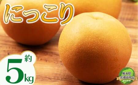 [2026年先行予約]栃木県共通返礼品 宇都宮産 にっこり 5kg | にっこり 新高 豊水 梨 なし 新品種 先行予約 大粒 新鮮 甘い 美味しい 果物 共通返礼品 フルーツ デザート 栃木県 那珂川町 送料無料