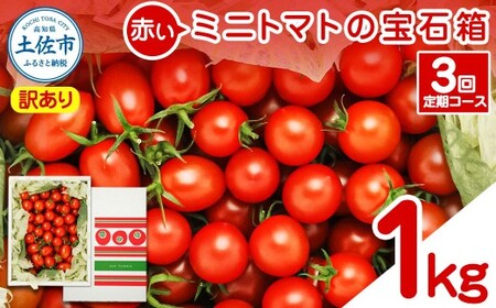 [訳あり][先行予約][全3回定期便]訳あり 赤いミニトマトの宝石箱 約1kg×3回 / 旬を楽しむ定期便[2026年12月から配送開始]高知県 土佐市[ファーム輝] [BQBM012]