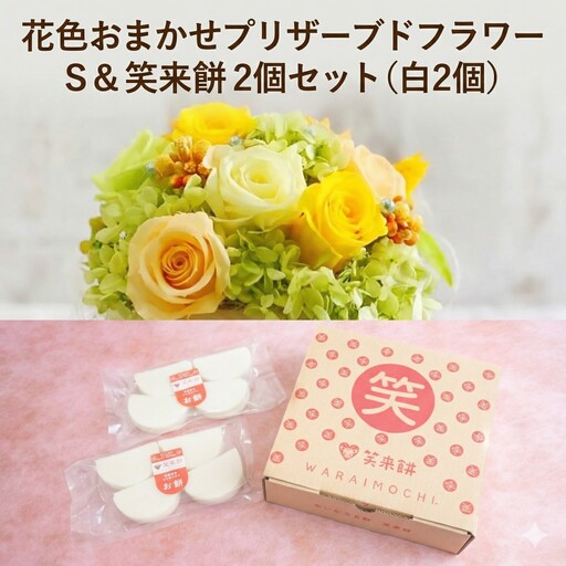 【 筑西市 ふるさと納税限定 コラボ 】 《 花色 おまかせ プリザーブド フラワー S 》《 笑来餅 2個 セット（白2個） 》