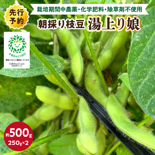 [数量限定]朝採り枝豆(湯上り娘)500g(250g×2パック)(栽培期間中農薬・化学肥料・除草剤不使用)(2027年7月上旬〜発送) 枝豆