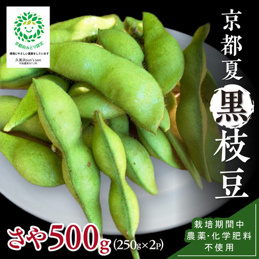 【数量限定】京都夏黒枝豆さや 500g（250g×2パック）（2027年7月中旬～発送） 枝豆