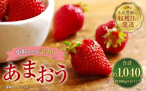 【訳あり・小粒】 あまおう 約260g×4パック 約1040g【2027年3月上旬～2027年4月上旬発送予定】いちご イチゴ 苺 フルーツ