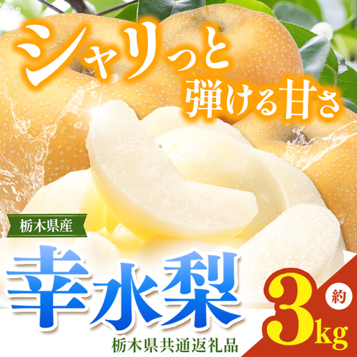 栃木県産梨 幸水 3kg