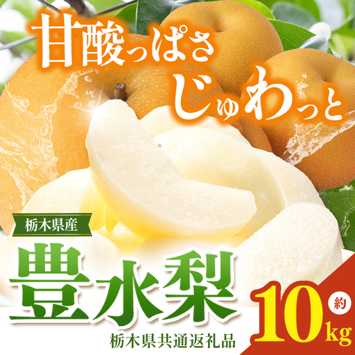 栃木県産梨 豊水 10kg
