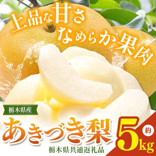 栃木県産梨 あきづき 5kg