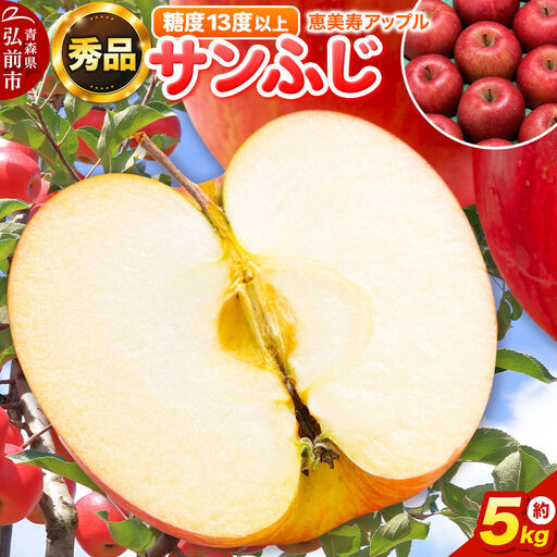 りんご サンふじ 約5kg[秀品]りんご 青森県 フルーツ 果物