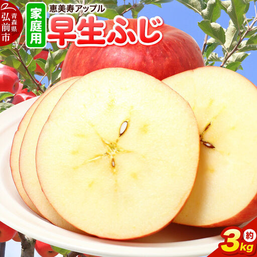 りんご 早生ふじ 家庭用 約3kg 先行受付 10月発送 りんご