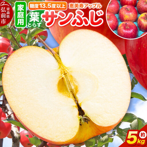 りんご 葉とらず サンふじ 約5kg[家庭用]りんご