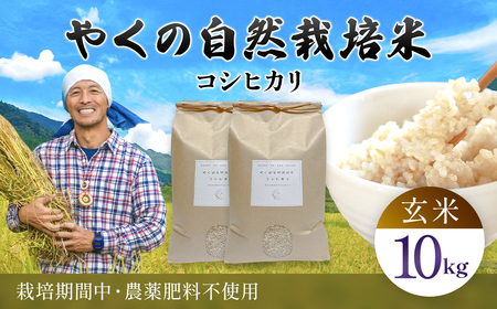 令和8年産先行予約 やくの自然栽培米 コシヒカリ 玄米 10kg ゆたか（ゆたか自然農園）