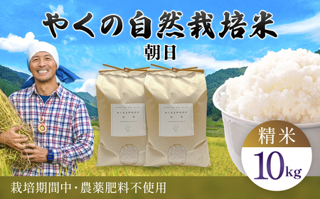 令和8年産先行予約 やくの自然栽培米 朝日 精米 10kg ゆたか（ゆたか自然農園）