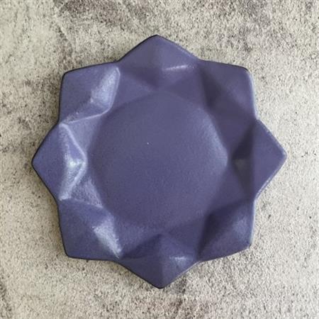 星屑の器 計1個 徳島産【1640761】