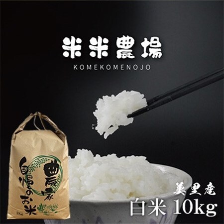 【令和7年産】熊本県美里町のお米 ヒノヒカリ 10kg×1袋_白米 お米 米 ごはん おにぎり_【1681365】