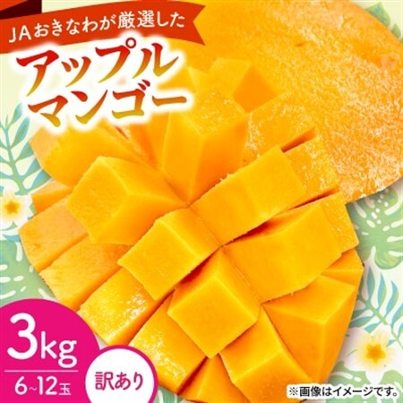 【2027年6月から順次発送・訳あり】アップルマンゴー3.0kg(6～12玉)【配送不可地域：離島】【1681762】