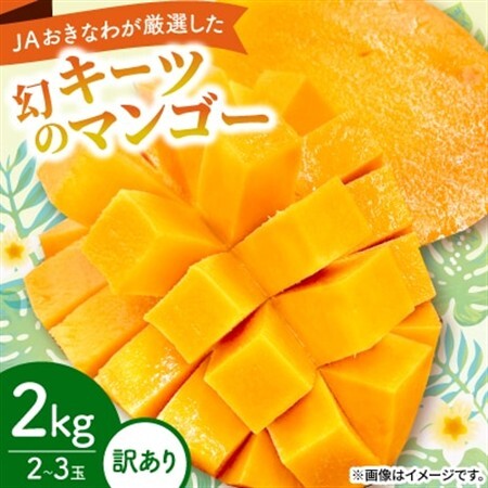 [2027年8月中旬から順次発送・訳あり]JAおきなわ厳選した幻のキーツマンゴー2kg(2〜3玉)[配送不可地域:離島]