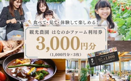 「観光農園はなのかファーム」利用券3枚綴り | チケット 体験チケット いちご狩り カフェ お出かけ 休日 ※離島への配送不可