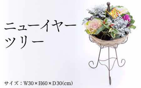 ニューイヤーツリー | 正月 正月飾り 新年 お祝い 記念 贈答 プレゼント ギフト 植物 インテリア 葉牡丹 白妙菊 南天 玄関 岐阜 瑞穂市 ※2026年12月～発送