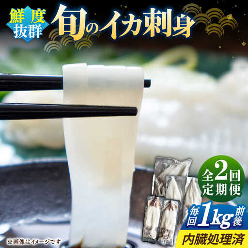 【全2回定期便】旬のイカ刺身1kg前後《壱岐市》【馬渡水産】イカ いか 烏賊 剣先 アオリ あおり スルメ するめ 刺身 刺し身 お刺身 海鮮 魚貝 冷凍配送 産地直送[JAQ030]