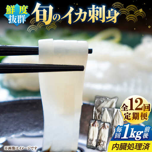 【全12回定期便】旬のイカ刺身1kg前後《壱岐市》【馬渡水産】イカ いか 烏賊 剣先 アオリ あおり スルメ するめ 刺身 刺し身 お刺身 海鮮 魚貝 冷凍配送 産地直送[JAQ033]