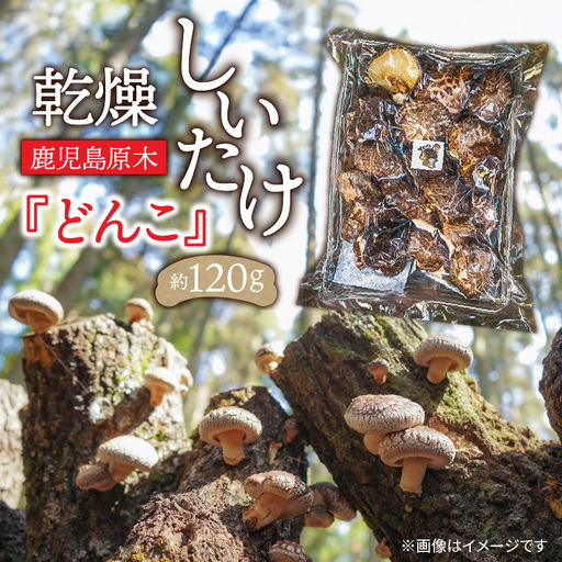 鹿児島 原木 乾燥 しいたけ 『 どんこ 』 約 120g K205-002