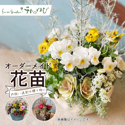 オーダーメイド型（花苗） 花 寄せ鉢 贈り物 プレゼント 記念日 お祝い