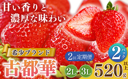 [定期便2回]平群の古都華 2L〜3Lサイズ 2パック | フルーツ いちご 古都華 先行予約 奈良県 平群町