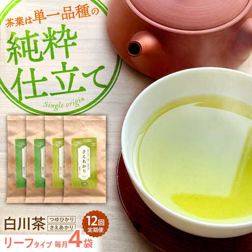 【12回定期便】煎茶 リーフセット 【つゆひかり・さえあかり】 各2袋 お茶 煎茶 国産 セット 岐阜 白川町 / 健康農園[AWBW007]