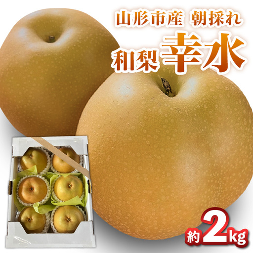 山形市産朝採れ【和梨(幸水)】 6～7玉 約2kg【令和8年産先行予約】FS25-093