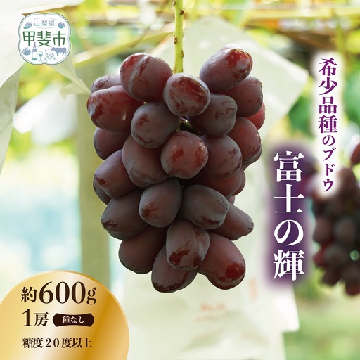 有機栽培にこだわった選りすぐりのぶどう 富士の輝 1房600g以上 ぶどう 希少品種