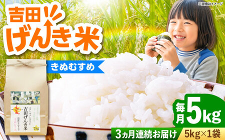 【令和8年産】【全3回定期便】吉田げんき米きぬむすめ 5kg [AIDB132-r8]