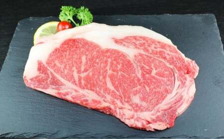 ＜ R8年熊本地震復興支援 ＞GI あか牛ロースステーキ 500g ／ 赤牛 あか牛 牛肉 お肉 肉 ロース肉 ロース ステーキ肉 ステーキ 九州 熊本県 熊本市 冷凍