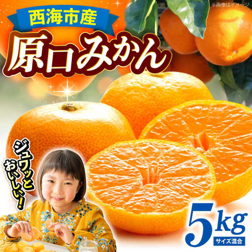 【11月中旬より配送開始】 原口みかん 約5kg （S,Mサイズ混合）＜濱崎ファーム＞ [CGT002] みかん