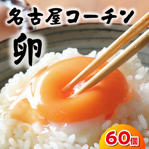 日本を代表する地鶏　名古屋コーチン卵　60個入｜ブランド卵 新鮮 阿久比町