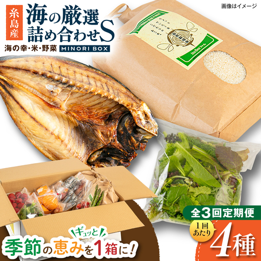 【全3回定期便】糸島産 魚 米 野菜 果物 厳選詰め合わせ MINORI BOX Sサイズ 糸島市 / emma.Inc / 米 魚 野菜 詰め合わせ[AOP020]