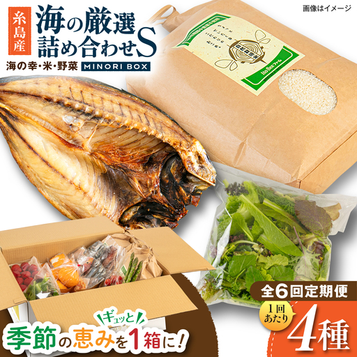 【全6回定期便】糸島産 魚 米 野菜 果物 厳選詰め合わせ MINORI BOX Sサイズ 糸島市 / emma.Inc / 米 魚 野菜 詰め合わせ[AOP021]