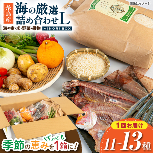 糸島産 魚 米 野菜 果物 厳選詰め合わせ MINORI BOX Lサイズ 糸島市 / emma.Inc / 米 魚 野菜 果物 詰め合わせ[AOP027]
