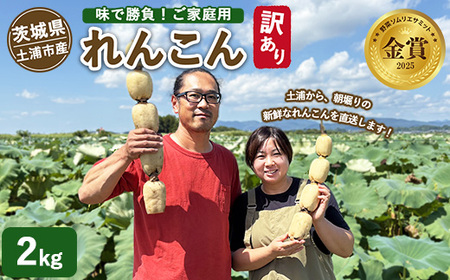 [訳あり]土浦市産 れんこん 2kg 味で勝負!タップリ大満足! すずき蓮根農園のご家庭用れんこん「竹 2キロ」 | 産地直送 茨城県 レンコン 蓮根 野菜 シャキシャキ ※2026年8月〜発送