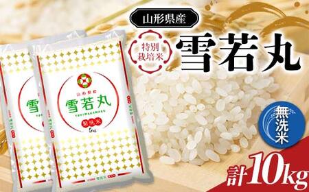 令和7年産 JA 無洗米 雪若丸 10kg (5kg×2袋) 『JA山形おきたま』 山形県産 無洗米 米 精米 山形県 南陽市 [2596]