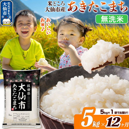 米《定期便12ヶ月》あきたこまち【無洗米】米どころ秋田県大仙市産 あきたこまち5kg（5kg×1袋）