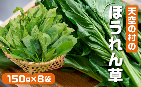 [先行予約]飛騨ほうれん草 150g×8個 野菜 ほうれんそう