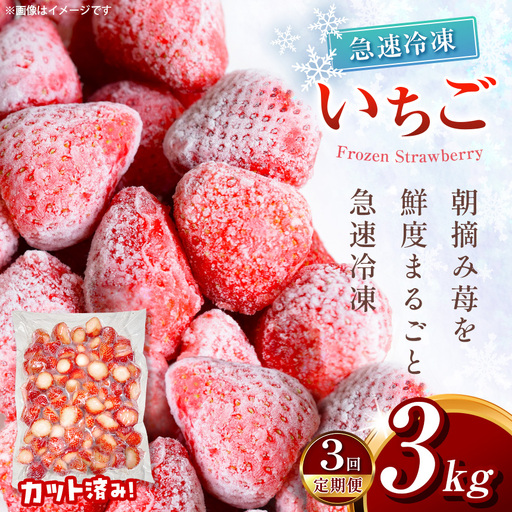 【定期便3回】冷凍いちご とちあいか 3kg カット済み 訳あり