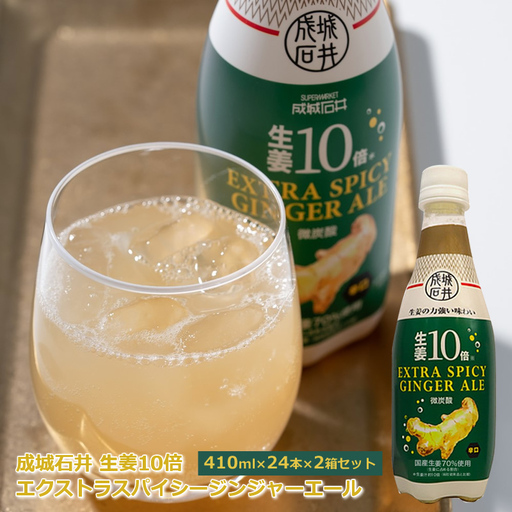 成城石井 生姜10倍 エクストラスパイシージンジャーエール 410ml×24本×2箱セット