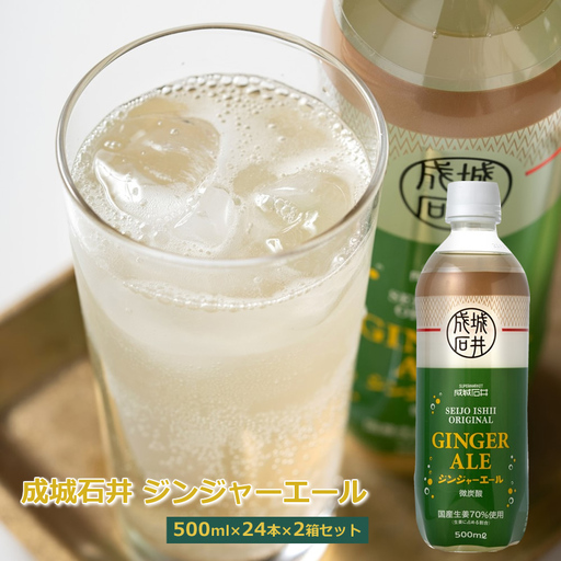 成城石井 ジンジャーエール 500ml×24本×2箱セット