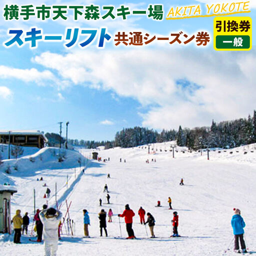 横手市天下森スキー場 スキーリフト共通シーズン券（一般）引換券 ゆうパケット