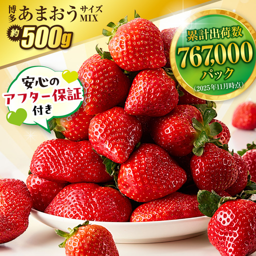【先行予約】【アフター保証】 「博多あまおう」約250g×2パック【2月上旬～3月発送】【JAほたるの里】_HA1937 ふるさと 納税 果物 フルーツ 甘い イチゴ 苺 あまおう デザート 旬 手土産 プレゼント いちご 博多あまおう 福岡県　福岡県宗像