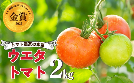 [先行予約] 濃厚!ウエタトマトのトマト 2kg