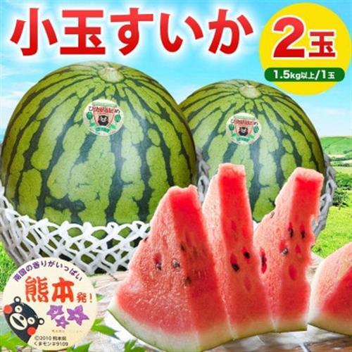 熊本県産 旬 シャリ感 食べきり 小玉すいか スイカ 3Lサイズ 約3kg以上(2玉入り)(益城町)【1684316】