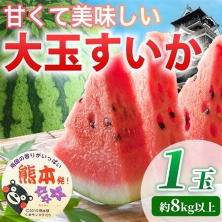 [先行予約] 熊本県産 甘い ご家庭用 大玉すいか スイカ 約8kg以上(1玉入り)(益城町)